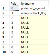 t_custom_activity_fields