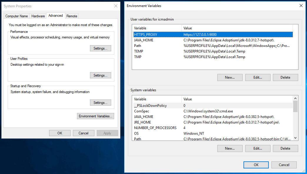Proxy server setting Environment Variables