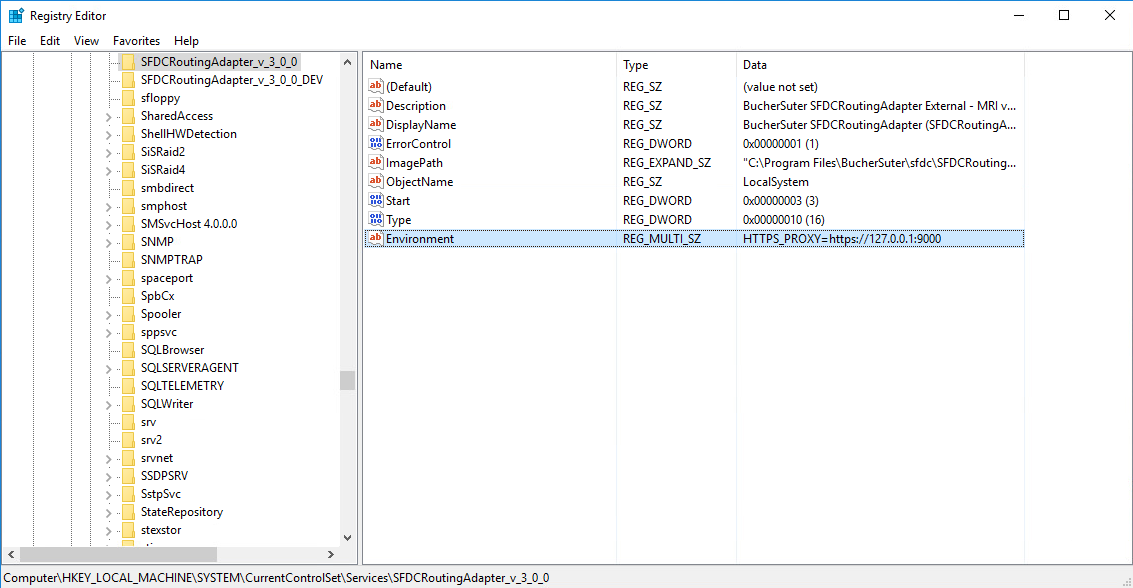 Proxy server setting Windows Registry