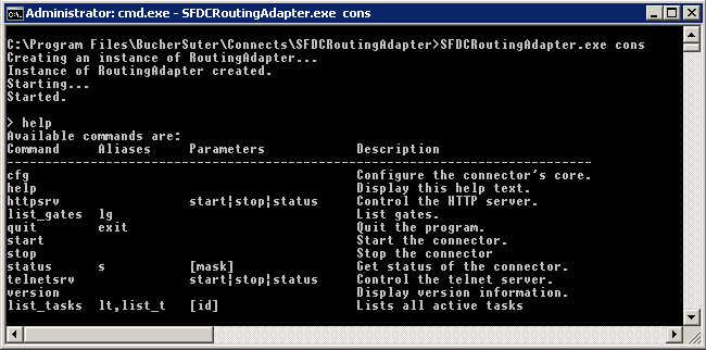 Routing Adapter console window