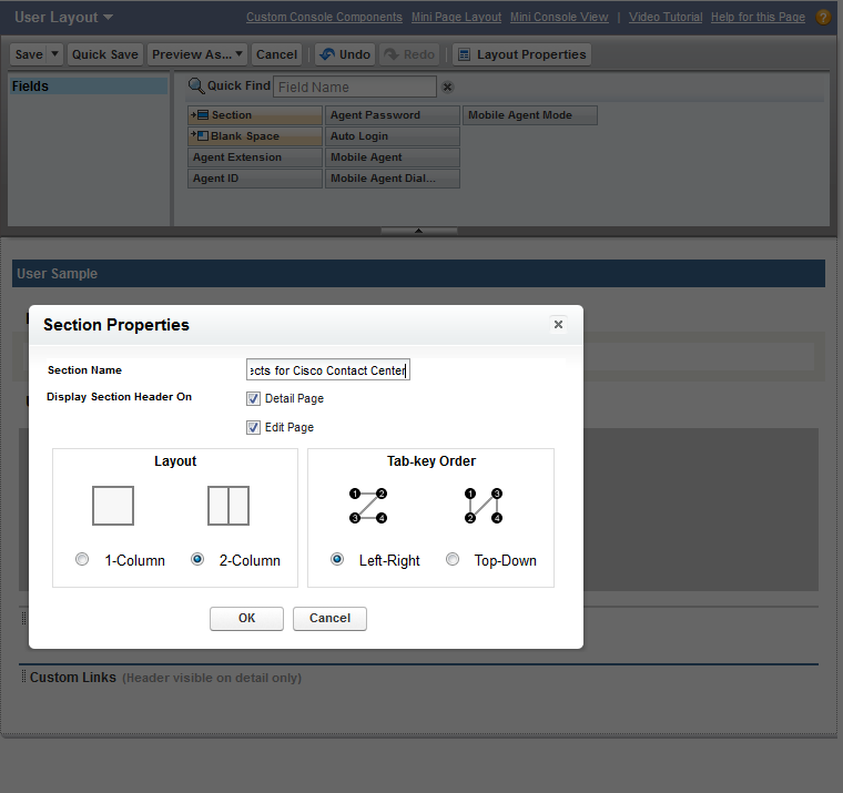 Settings of New Section in User Layout