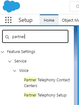 Voice in Setup