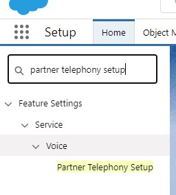 Voice in Setup