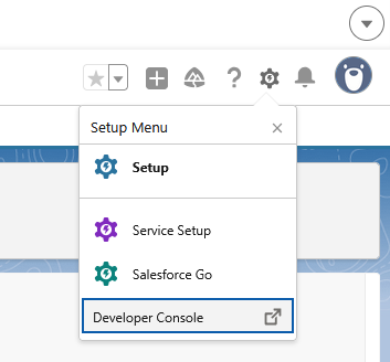 Salesforce Developer Console