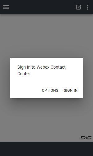 Login Mask