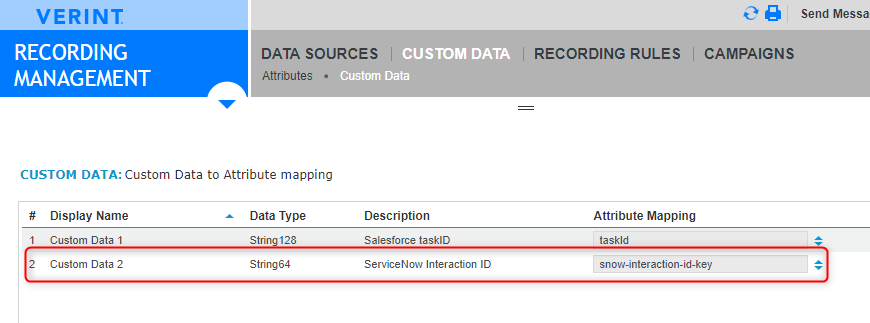 Verint Custom Data