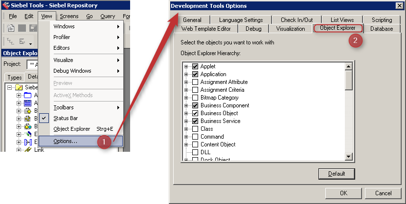 Development Tools Options