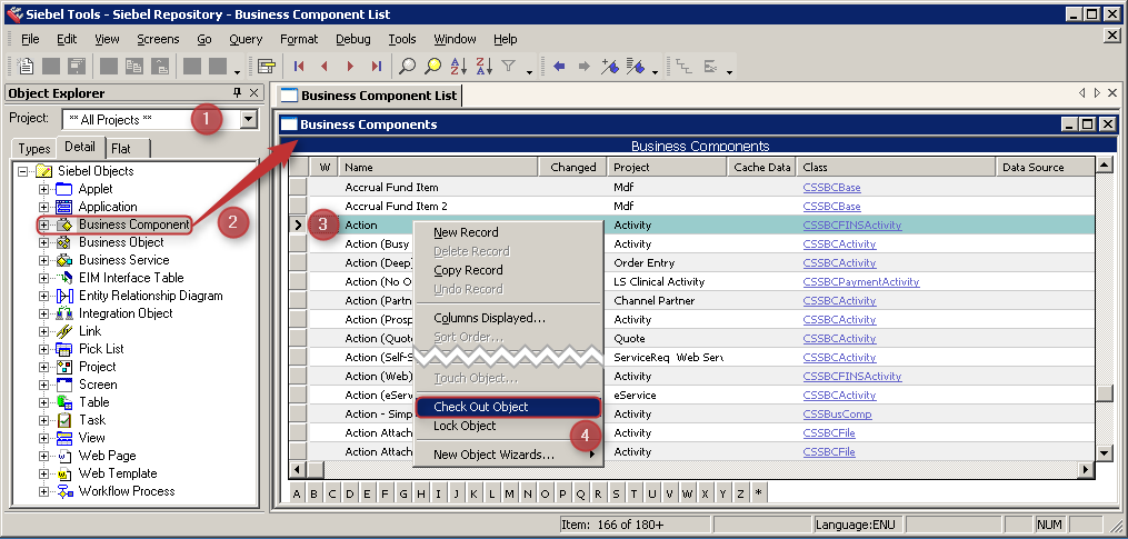 Siebel Tools Checkout Business Service - Action
