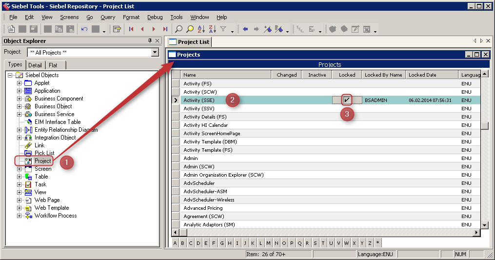 Siebel Tools Lock Project - Activity