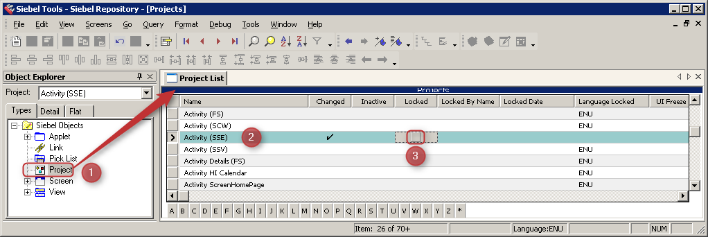 Siebel Tools Unlock Project - Activity