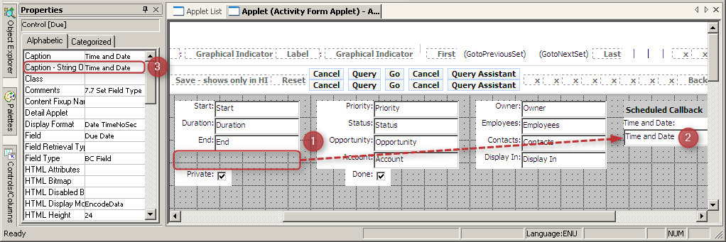 Siebel Tools Web Layouts - Due Field
